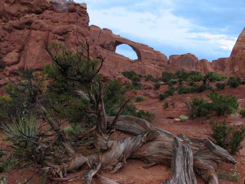 Arches NP - Skyline Arch